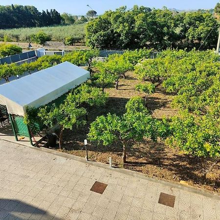 Appartamento Roccaforte Bi Rosso Trapani Zewnętrze zdjęcie