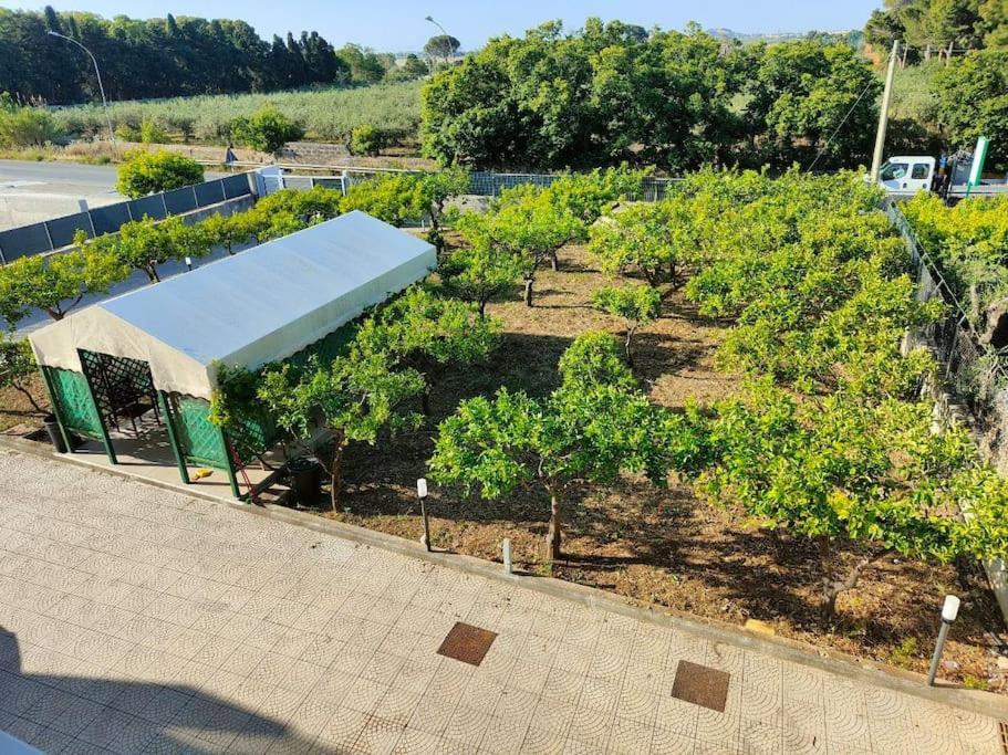 Appartamento Roccaforte Bi Rosso Trapani Zewnętrze zdjęcie